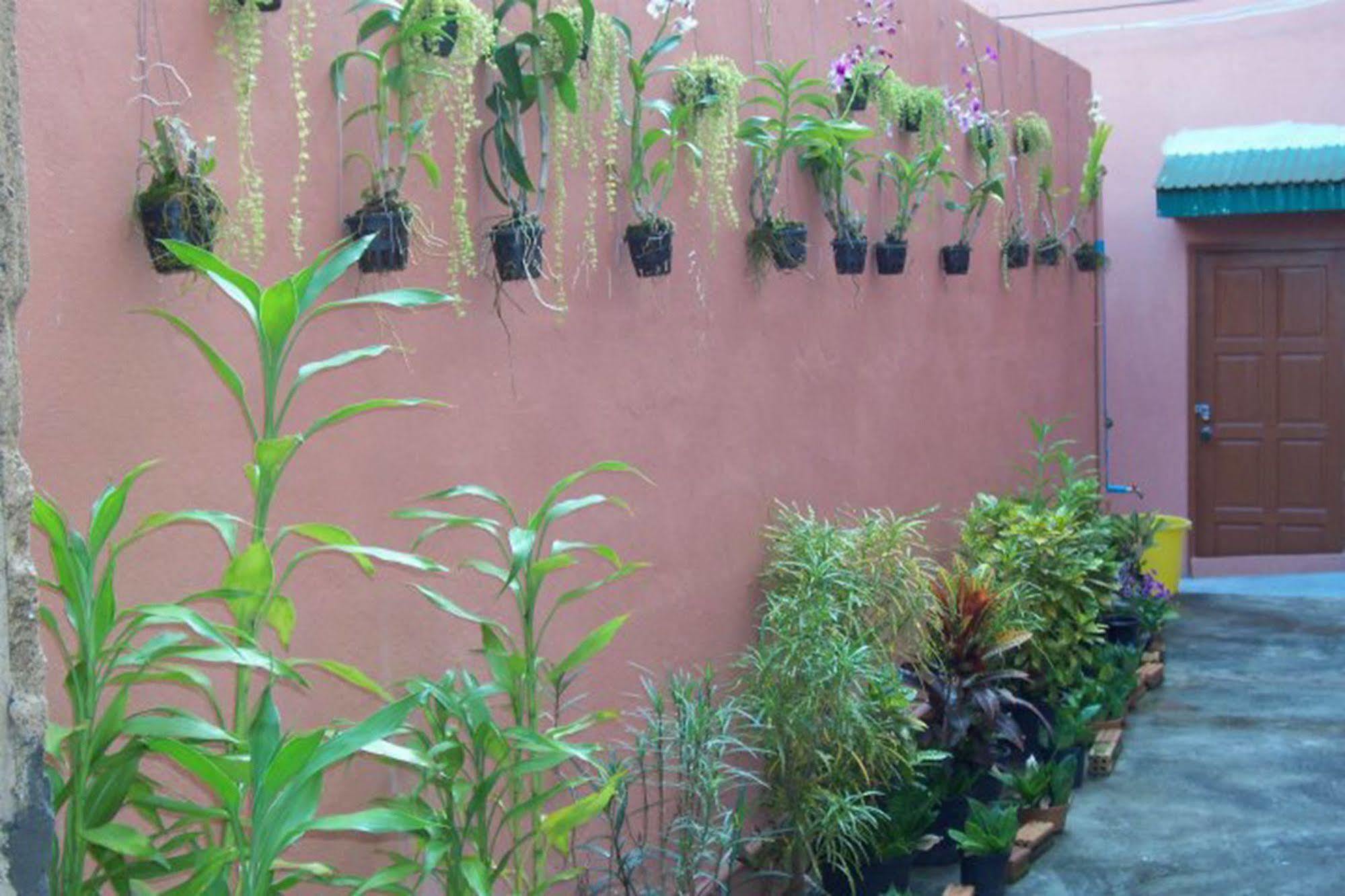 D'S Corner & Guesthouse Phuket Екстериор снимка